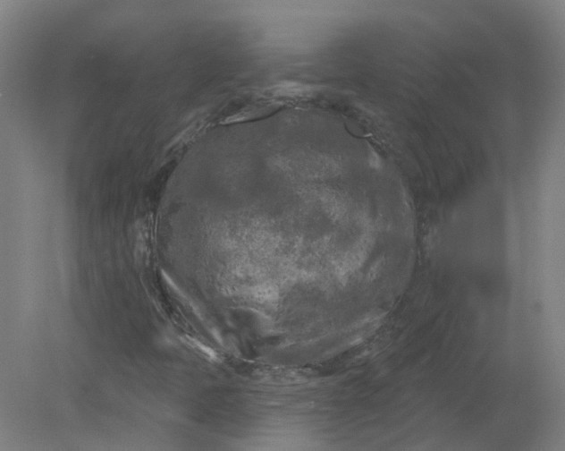 X0000079331397200612011856