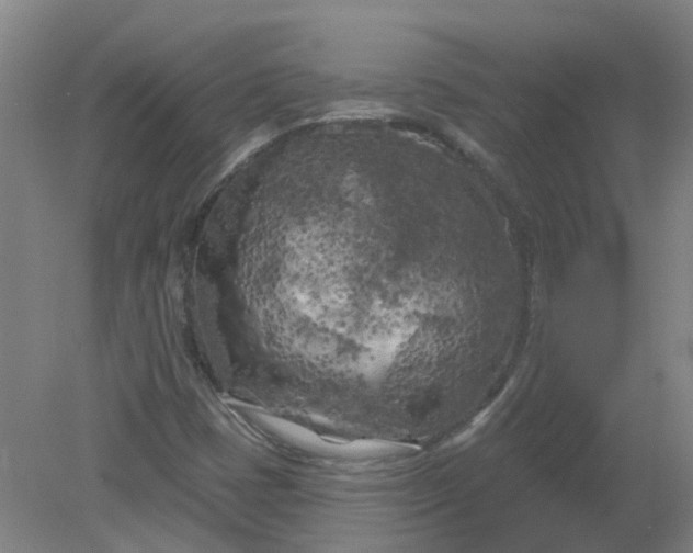 X0000079331401200612011856