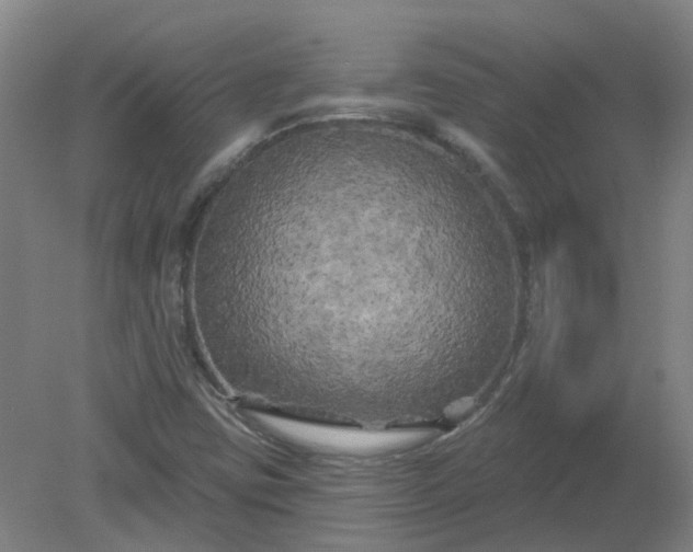 X0000079331403200612011856