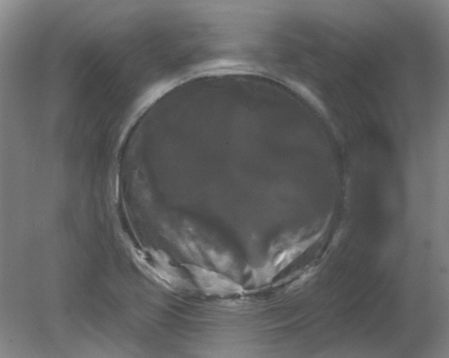 X0000079331413200612011856