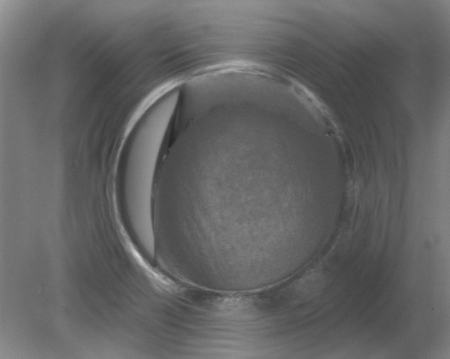 X0000079331418200612011856