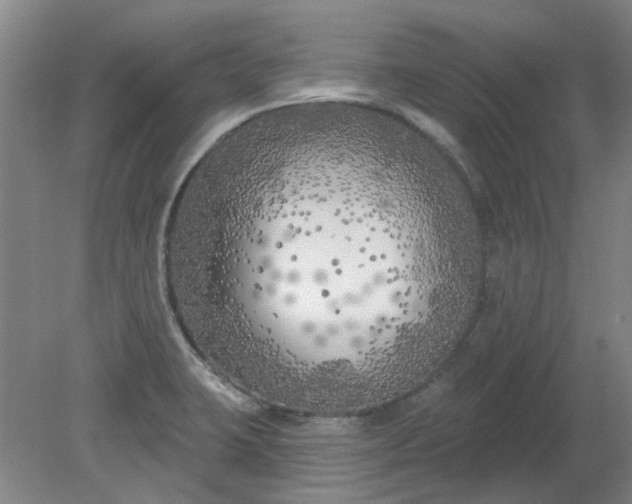 X0000079331423200612011856
