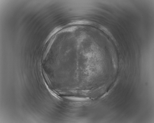 X0000079331425200612011856