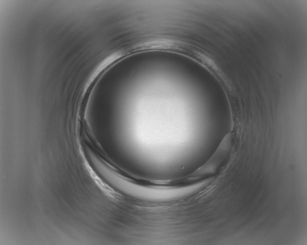 X0000079331426200612011856