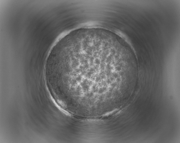 X0000079331429200612011856