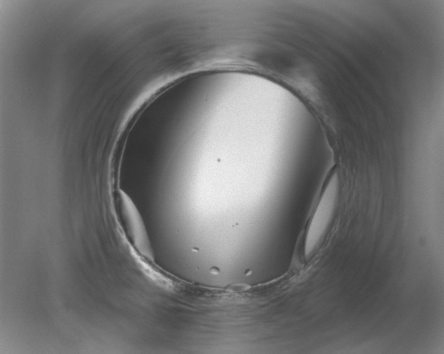 X0000079331430200612011856
