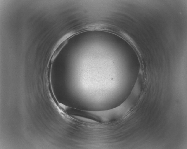 X0000079331434200612011856
