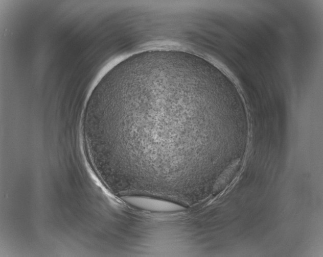X0000079331440200612011856