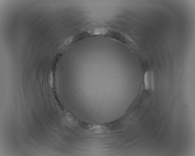 X0000079331443200612011856