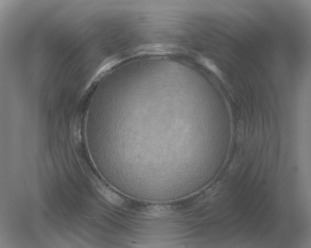 X0000079331451200612011855