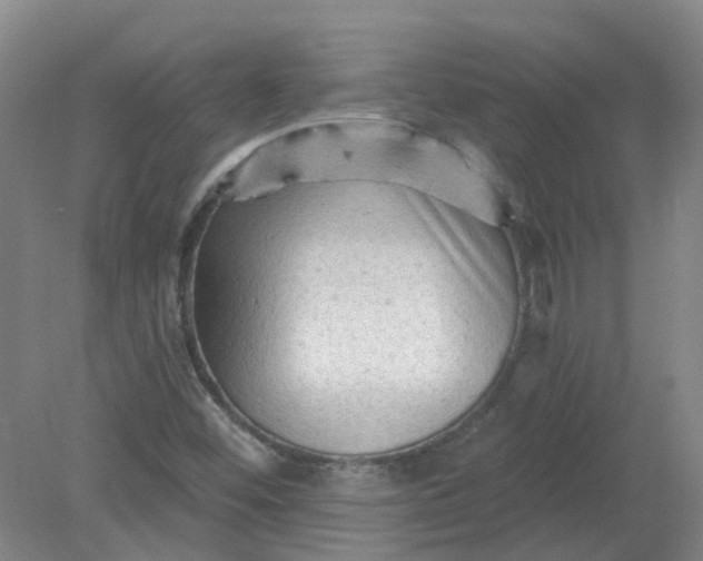X0000079331452200612011855