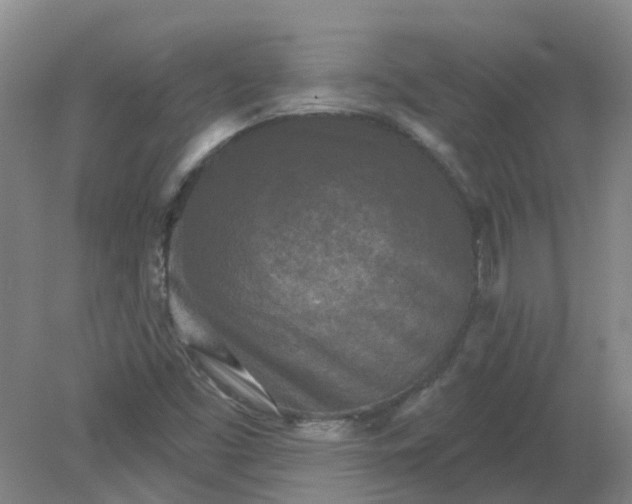 X0000079331453200612011855