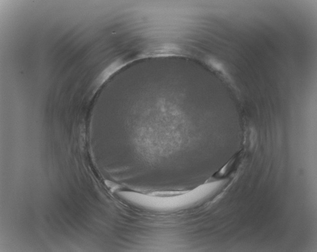 X0000079331457200612011855