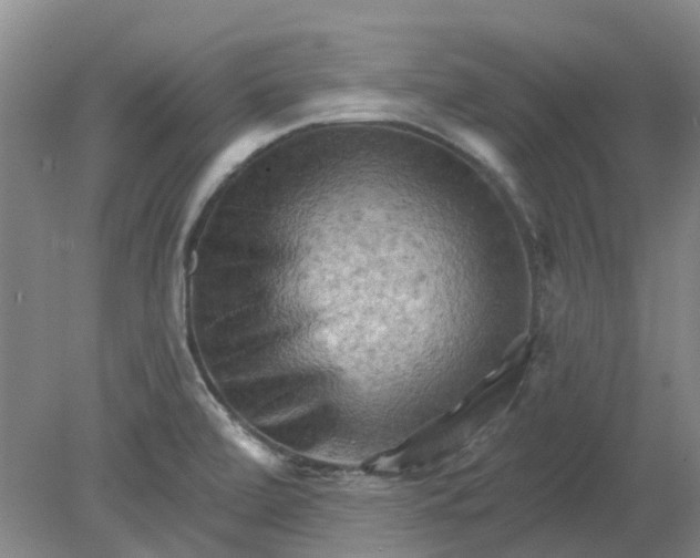 X0000079331472200612011855