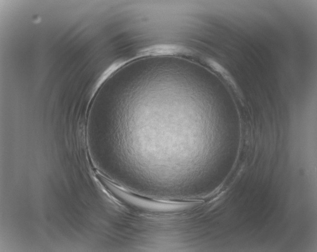 X0000079331473200612011855