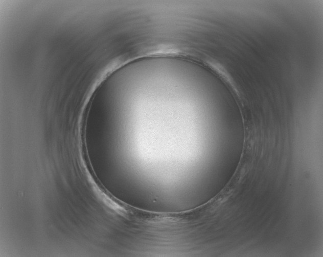 X0000079331475200612011855