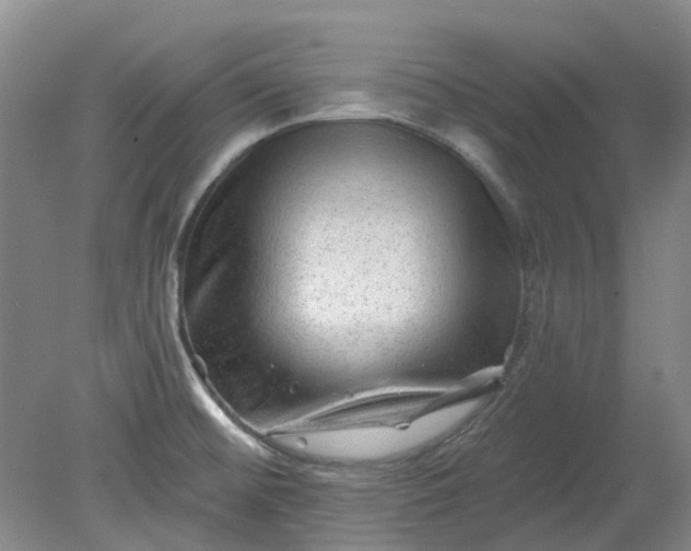 X0000079331476200612011855