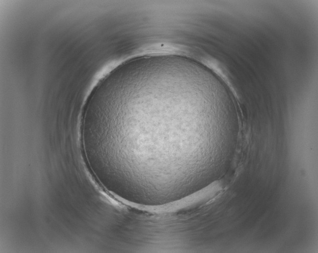X0000079331477200612011855