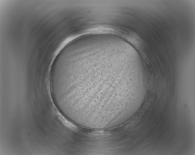 X0000079331478200612011855