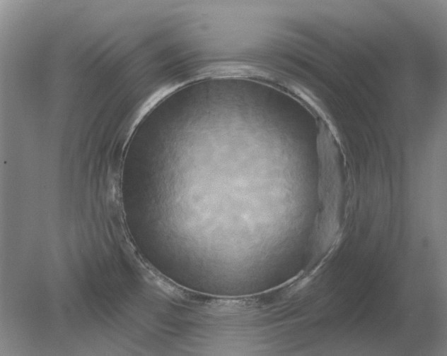X0000079331481200612011855