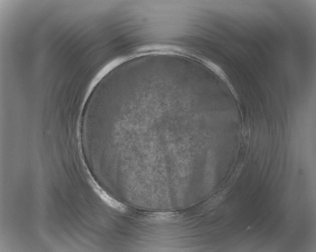X0000079331482200612011855