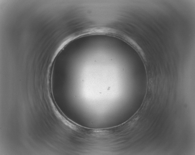X0000079331483200612011855