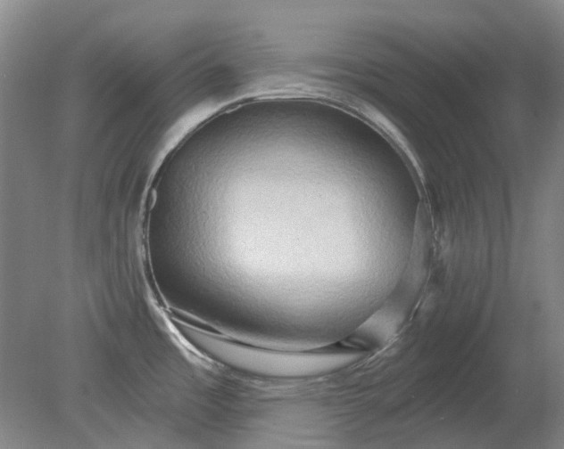 X0000079331485200612011855