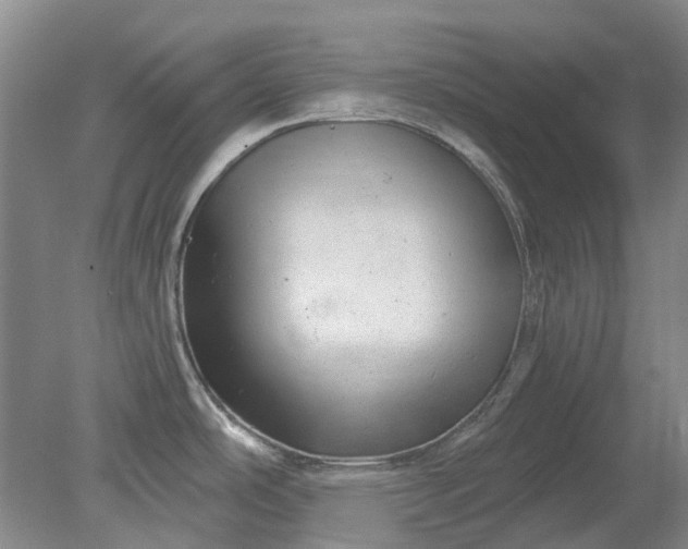 X0000079331486200612011855