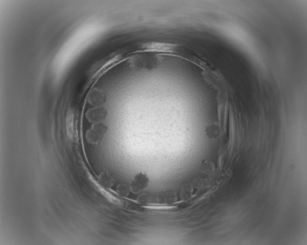 X0000079331487200612011855
