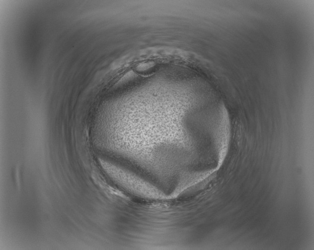 X0000079331489200612011854