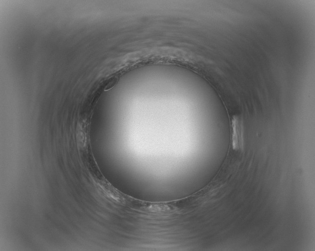 X0000079331491200612011854