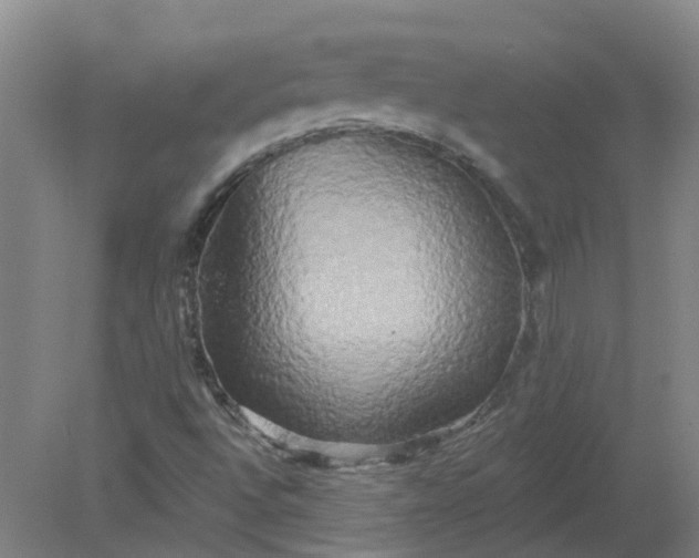 X0000079331496200612011854
