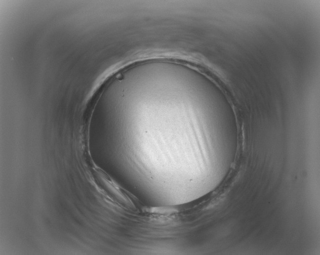X0000079331501200612011854