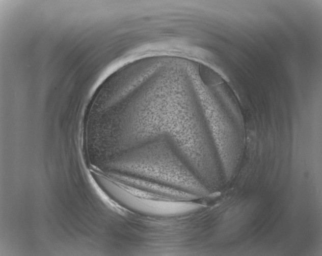 X0000079331523200612011855