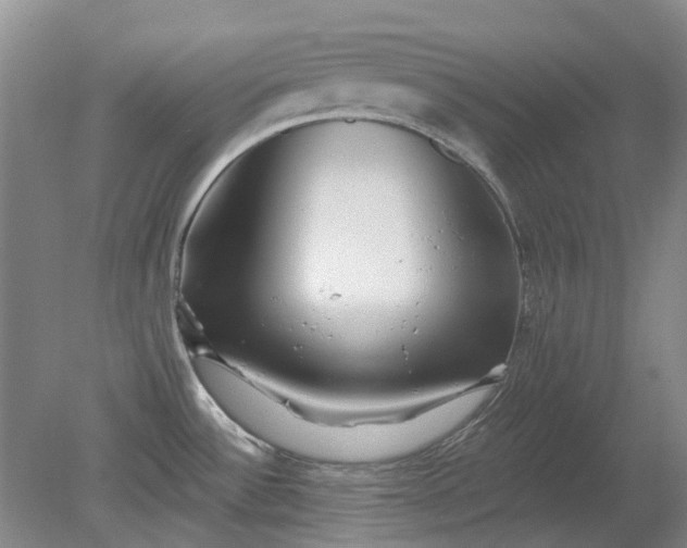 X0000079331532200612011855