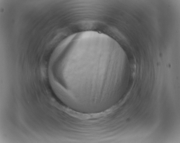 X0000079330035200612082010
