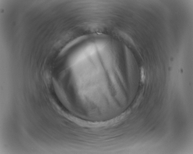 X0000079330039200612082010