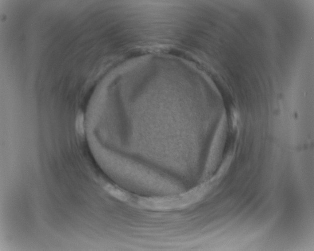 X0000079330041200612082010