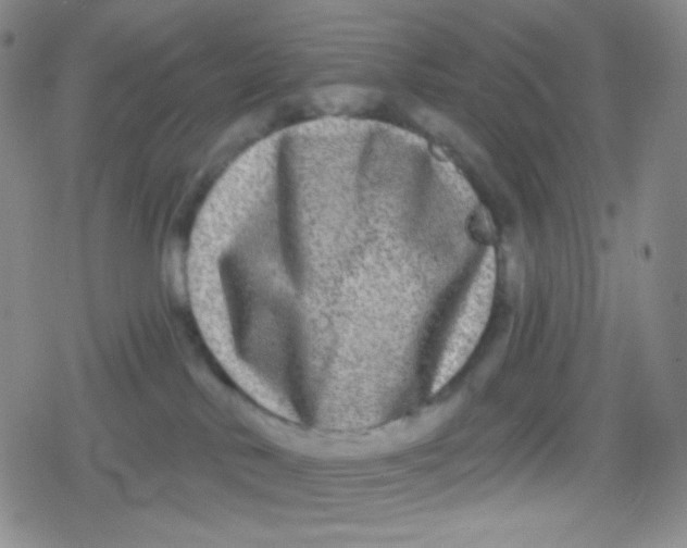 X0000079330042200612082010