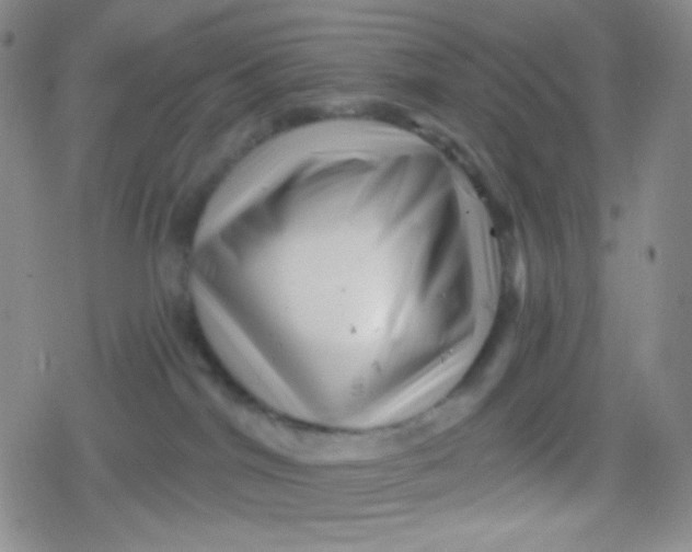 X0000079330044200612082010