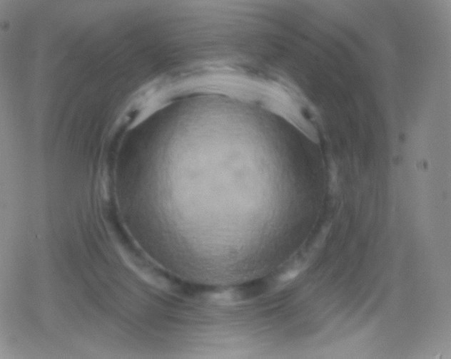 X0000079330068200612082009