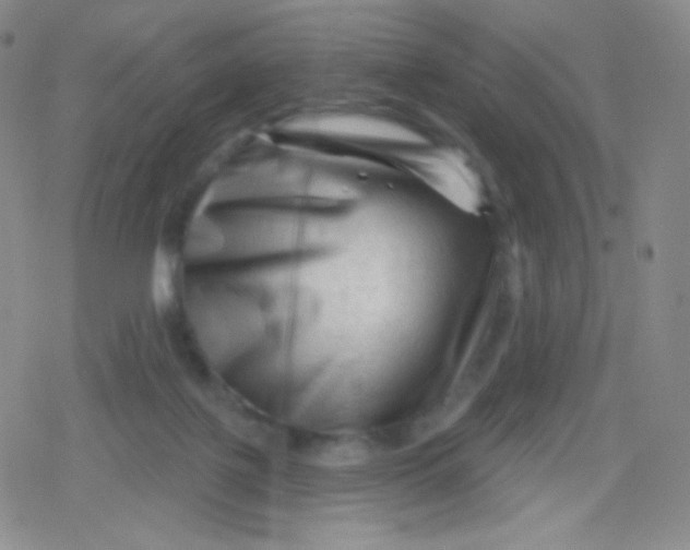 X0000079330075200612082010