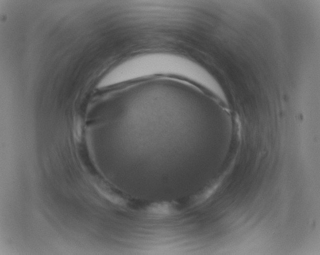 X0000079330076200612082010