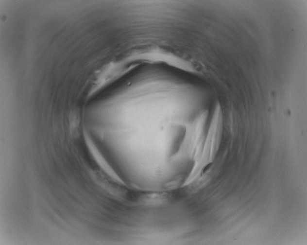 X0000079330082200612082010