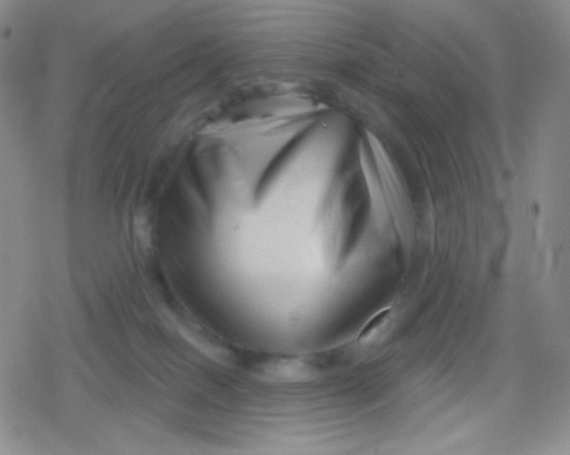 X0000079330086200612082010