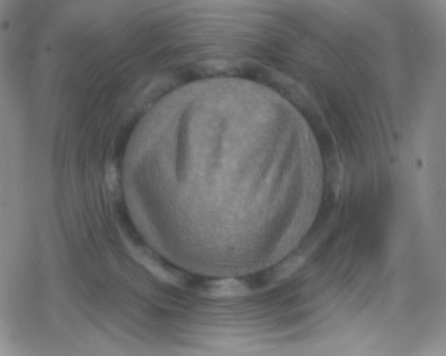 X0000079330087200612082010