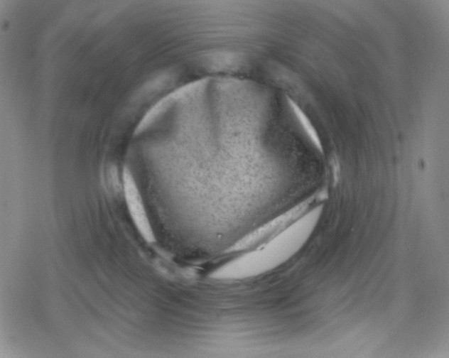 X0000079330089200612082010
