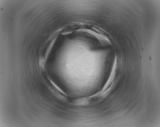 X0000079330094200612082010