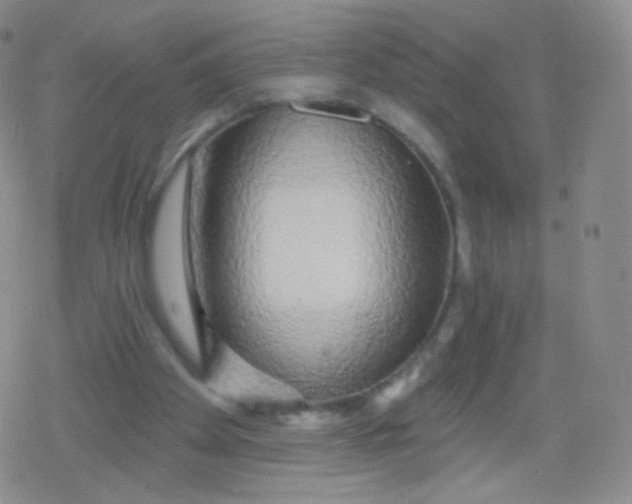 X0000079330105200612082009