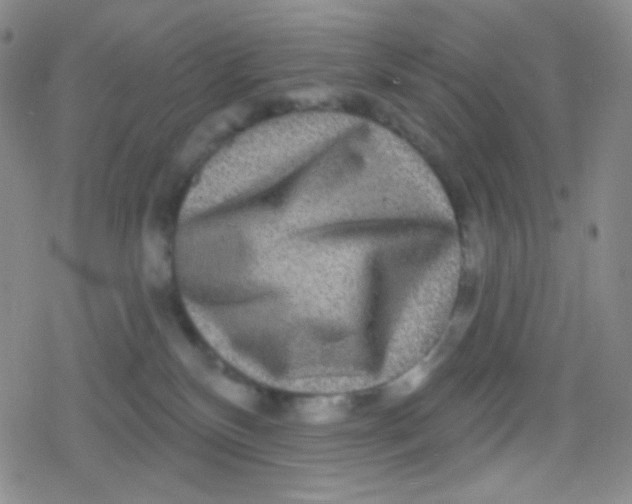 X0000079330136200612082008